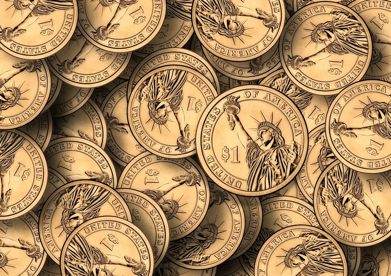 DOLAR - 1.webp
